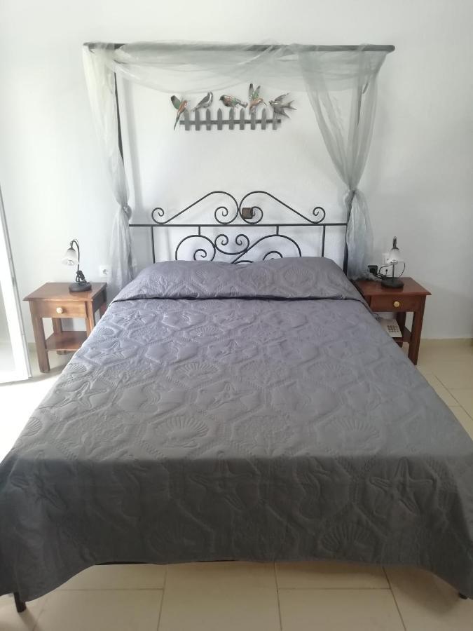 Liogerma 2* Adámas